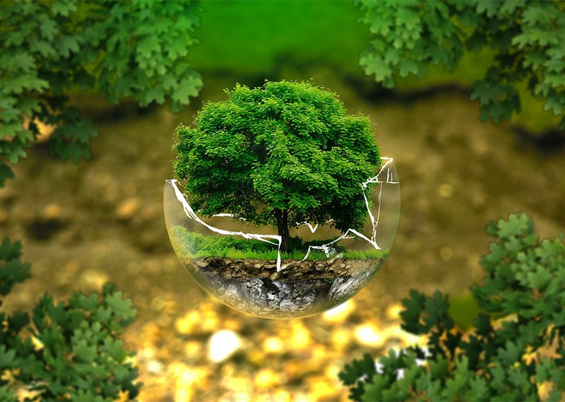 Energy Management Firm In India 1 Energy Management Firm In India 1