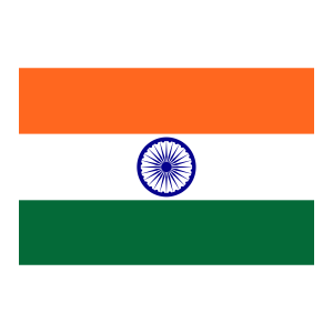 Business Expansion to India 1 India